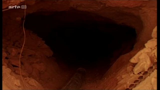 9856756546 смотреть онлайн