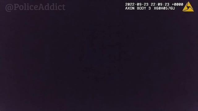Camaro Crashes During High Speed Pursuit | Indiana State Police смотреть онлайн