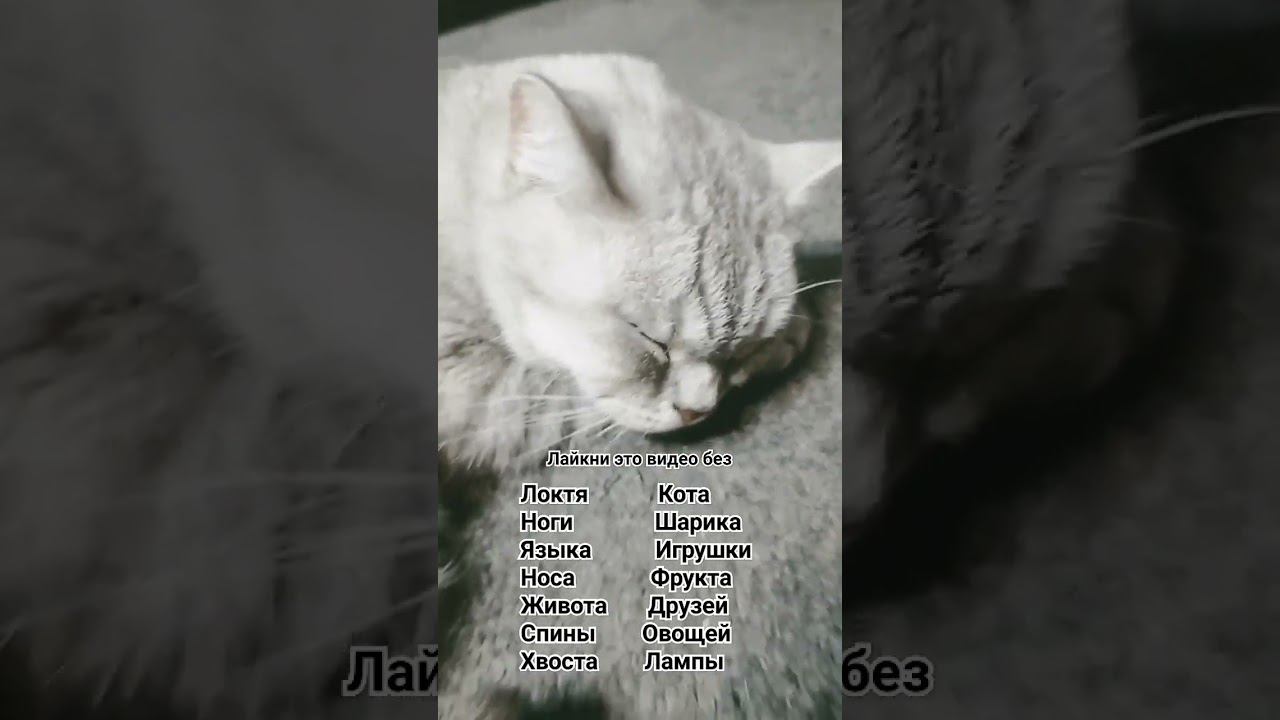 Лайкни это видео без ... #shorts #игры #100k #подпишись #ржака #лайк #minecraft #рекомендации смотреть онлайн
