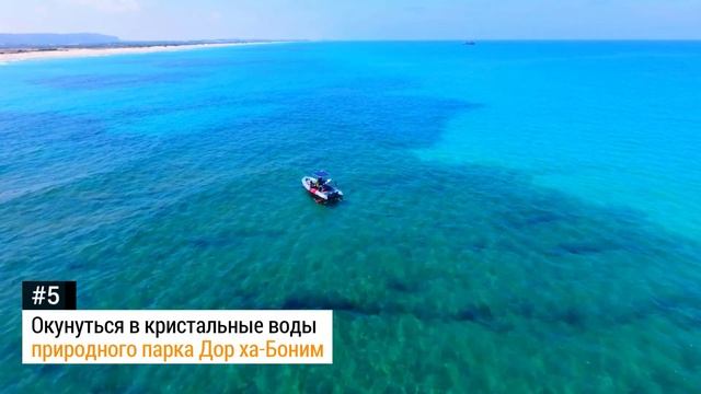 Ту би-Ав - День любви по еврейскому календарю смотреть онлайн
