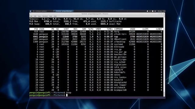 Linux: Процессы, переменные среды