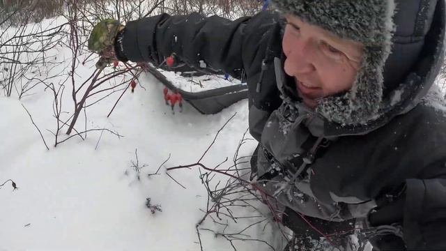 Снегоход в багажнике, мотобуксировщик толкач Альбатрос-XL8 на склизовой подвеске! смотреть онлайн