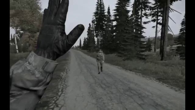 DayZ - Дай пять. смотреть онлайн