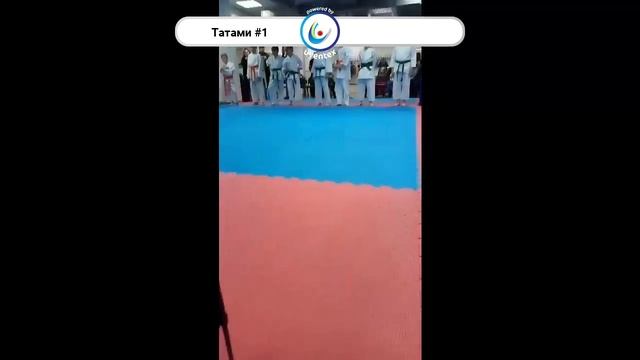 Рейтинговый турнир РОО «СК «РАМЕНКИ» по ката смотреть онлайн