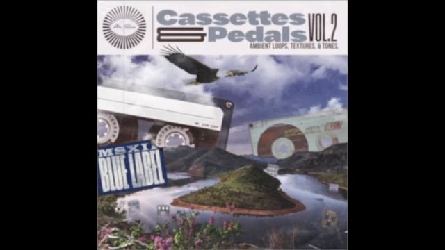 Cassettes & Pedals Vol. 2 - Ambient Loops, Cassette Tape Textures, and Tones смотреть онлайн