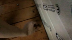 Снять бампер Шевроле Кобальт