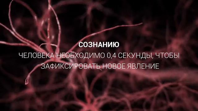 Что такое физический интеллект? смотреть онлайн
