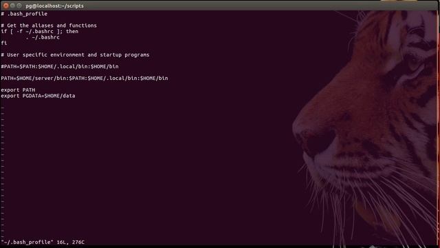 3. postgreSQL - initdb -k смотреть онлайн