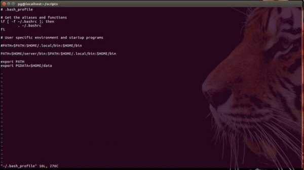 3. postgreSQL - initdb -k