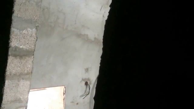 Дом Тула пос. Фёдоровка смотреть онлайн