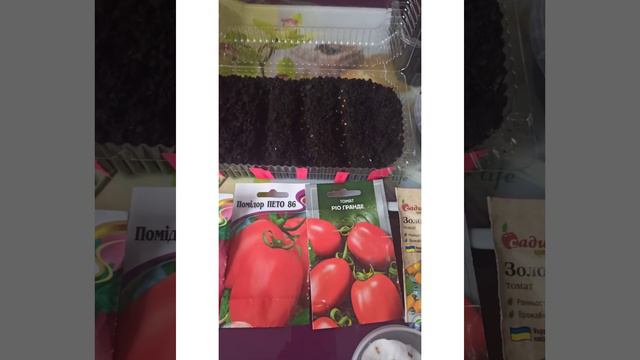 Посіяла низькорослі томати. Сходить суниця "Барон Рюген" і полуниця"Треска". смотреть онлайн