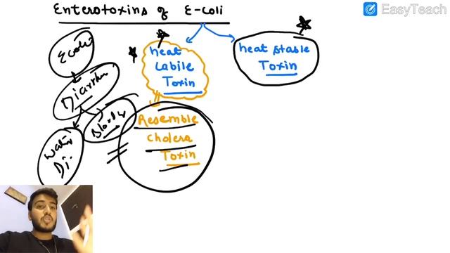 E -COLI BACTERIA IN HINDI / E COLI Microbiology/ Toxins of E-COLI смотреть онлайн