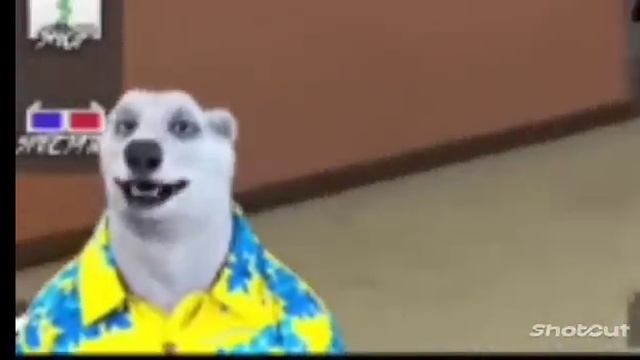 важное образение белого медведя??? смотреть онлайн