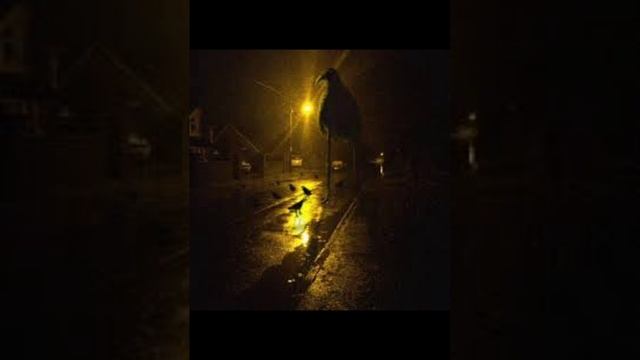 Монстры Тревора Хендерсона 21 Часть смотреть онлайн