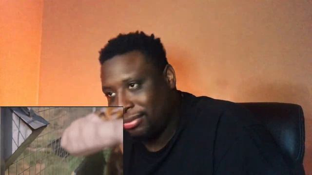 Joe Exotic Here Kitty Kitty Video Reaction