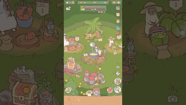 Кошки и суп Кошки Повара