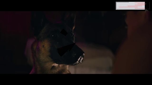 НОВИНКИ КИНО смотреть онлайн