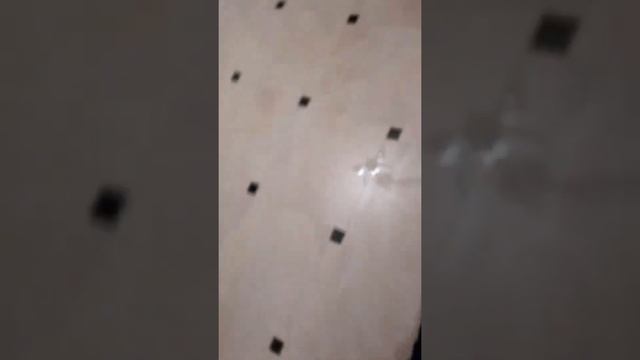 Дед мороз на верёвке смотреть онлайн