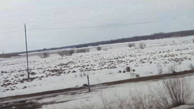 А у нас есть нефть. А у вас? смотреть онлайн