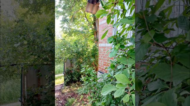 Дача СНТ "Связист" смотреть онлайн