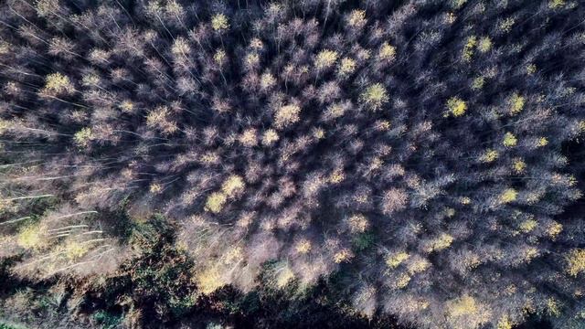 Allestree, UK. [ Xiaomi Fimi X8 SE ] 4K смотреть онлайн