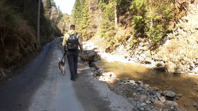 Поехали в Карпаты. Часть 2: Водопад Женецкий Гук смотреть онлайн