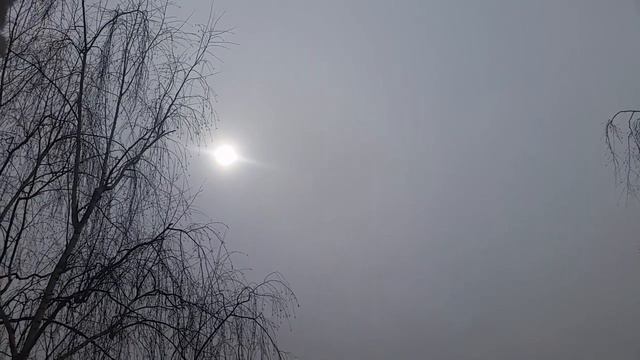 СОЛНЦЕ ОТ ВОЛШЕБНИКА ДЛЯ ВАС...21 3 18... С 5... смотреть онлайн