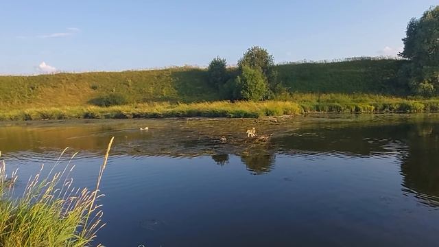 Все на речке после дня смотреть онлайн