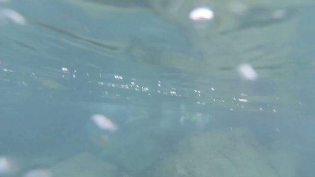 Турецкая баня смотреть онлайн