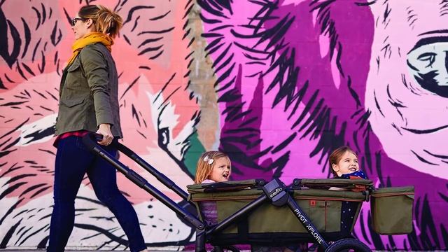 Top 5 Best Stroller Wagon With Adjustable in 2021 смотреть онлайн