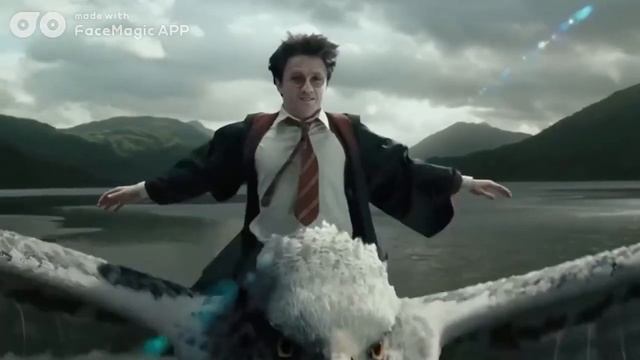 Пираний Гарри Поттер и философский камень смотреть онлайн