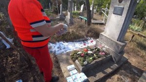 Как избавиться от травы вокруг могилы быстро и легко! Простой способ борьбы с травой!