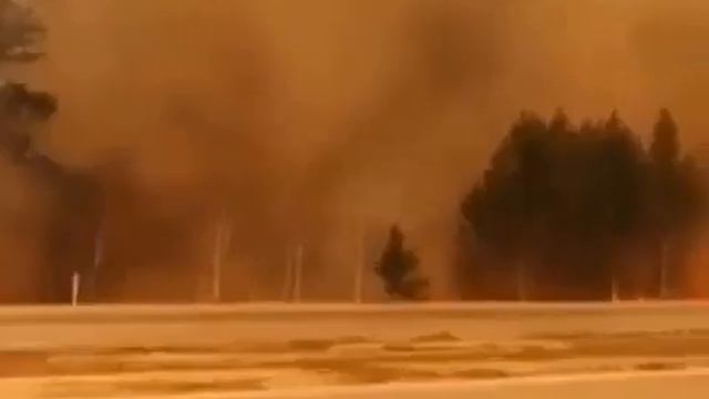 Крик о помощи - Сибирь горит смотреть онлайн