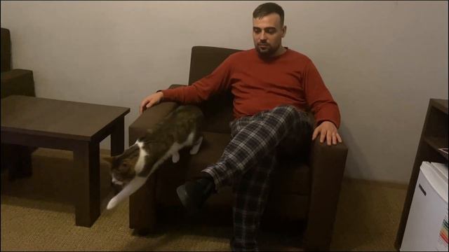 Первое путешествие Милки смотреть онлайн
