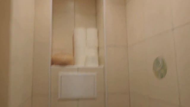 м. Ладожская. 2-комнатная квартира 54,9 кв.м смотреть онлайн