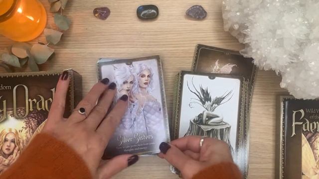 Wild Wisdom Of The Faery Oracle by Lucy Cavendish Walkthrough смотреть онлайн