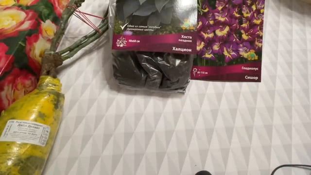 Что купила в Леруа? Сходила за строительными ведрами? смотреть онлайн