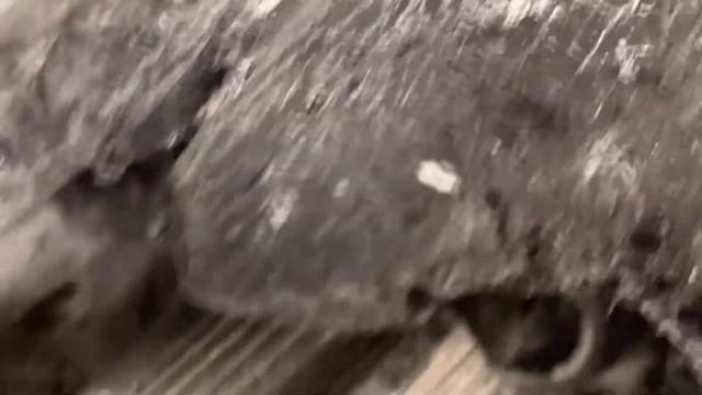 Köp Tigersåg el Hilti WSR1400-PE på Klaravik смотреть онлайн