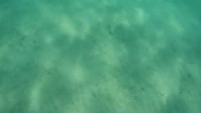 Вот и лето почти проошло 2019 смотреть онлайн