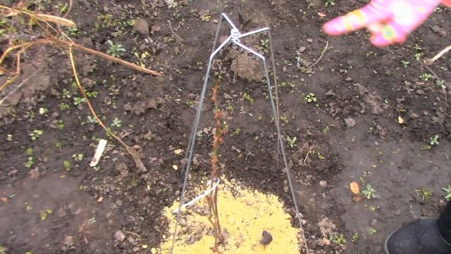 Укрытие для роз " Зимний домик" 75 см. Распаковка, обзор, установка. 218 смотреть онлайн