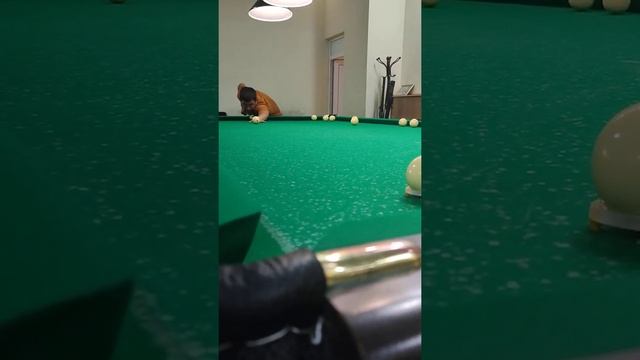 подготовка к ЧМ 2022г. по динамичной пирамиде. Болоталиев Бакыт. смотреть онлайн