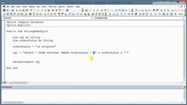 VBA SQL Strings - Tutorial for Beginner