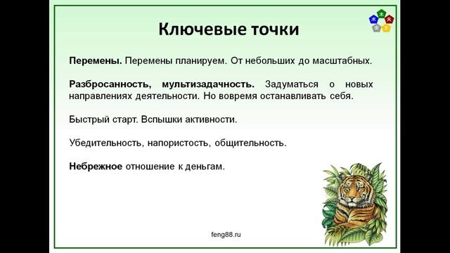 Прогноз на год Тигра смотреть онлайн