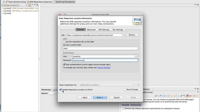 Message Project Checkout from SVN смотреть онлайн