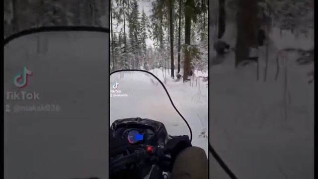 Зима лучшее время года. Тайга патруль 800. Февраль 2022