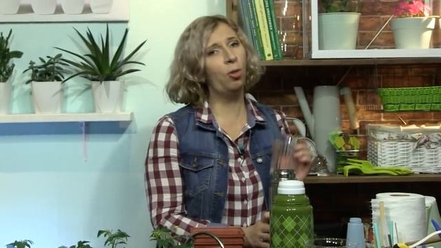 Кремний делает ткани растений более прочными. Дачные сезоны 19.12.18. смотреть онлайн