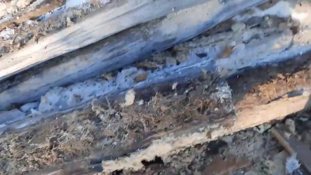 Здоровое питание и диетические рецепты