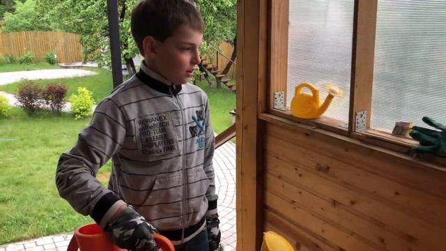 Как посадить кукурузу на даче? | Детский мастер-класс | Маленький садовник смотреть онлайн