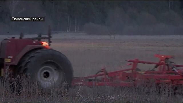 Природный пожар возник в районе автодороги Чаплык-Успенка в Тюменской области смотреть онлайн