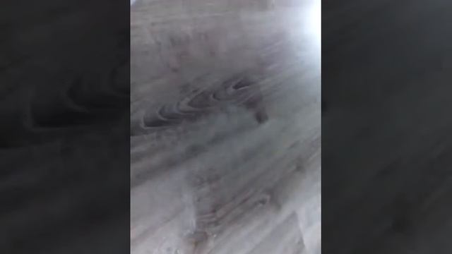 Обзор квадракоптера Zuma 5 смотреть онлайн